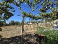 Продава КЪЩА, гр. Съединение, област Пловдив, снимка 10