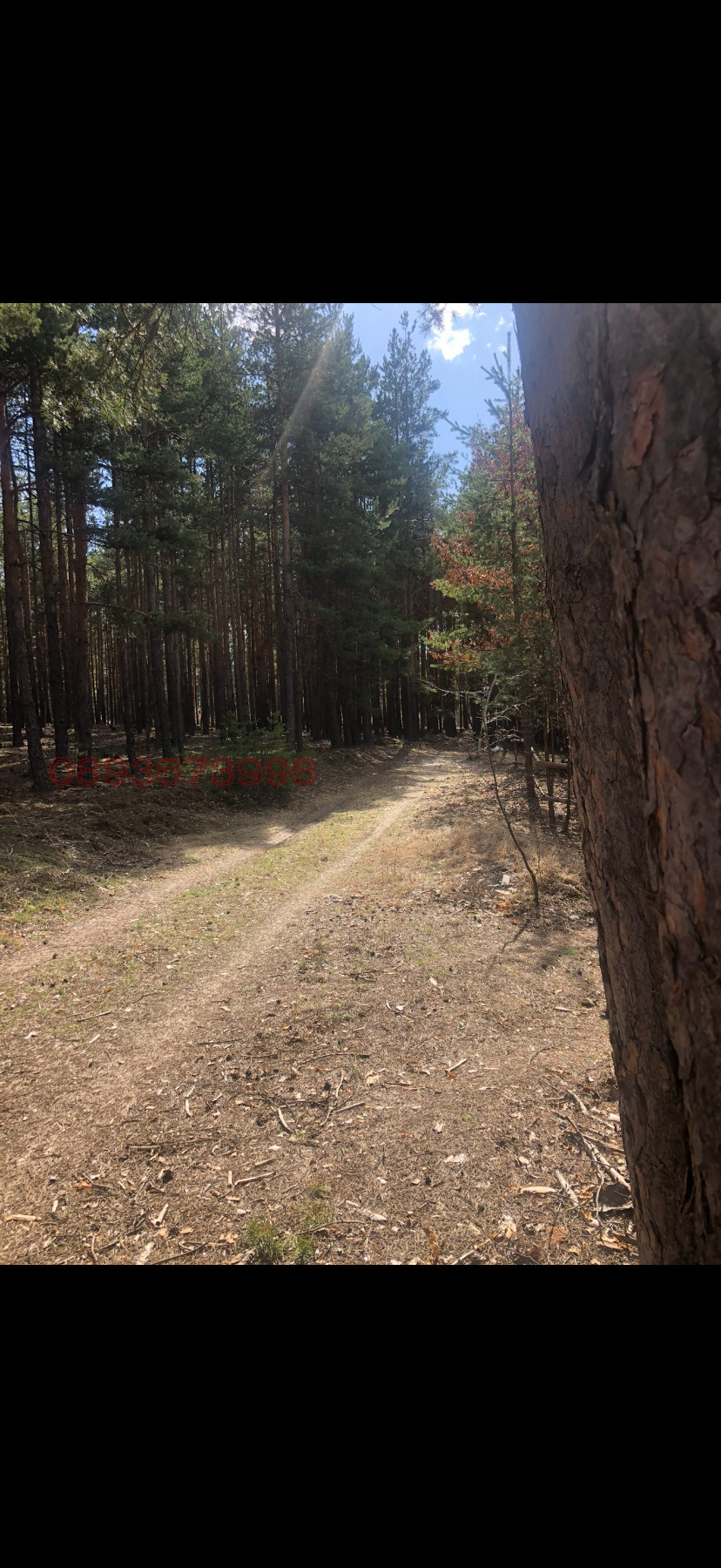 ������� ������ | Imot.bg � ����������� 1