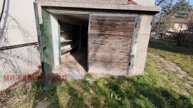 ����� ������� �����,���� �����, �����������