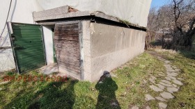 ����� ������� �����,���� �����, �����������