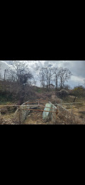 Продава КЪЩА, област Перник, с. Горна Диканя • 100000 € • 59425560 — Holmes.bg