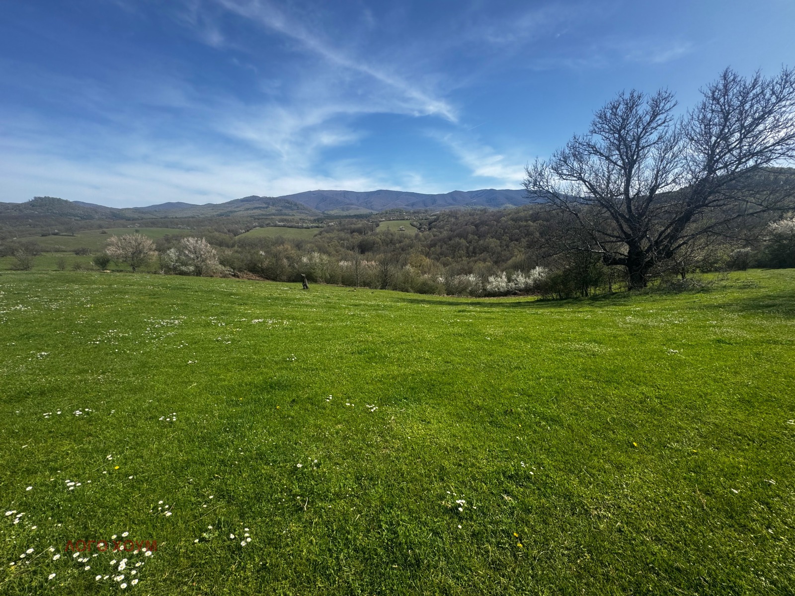 ������� ������ | Imot.bg � ����������� 5