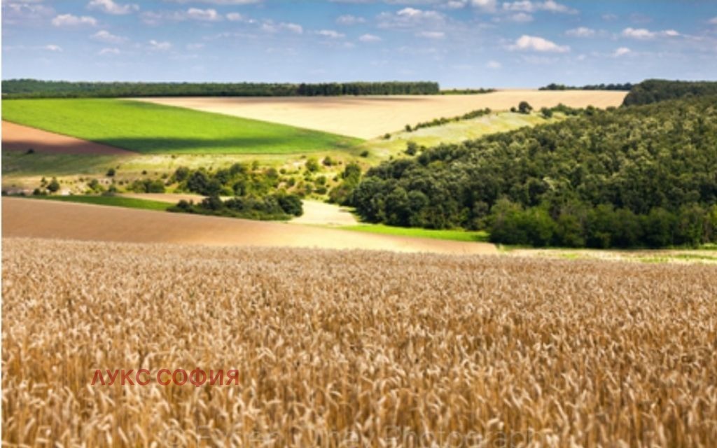 Продава ЗЕМЕДЕЛСКА ЗЕМЯ | Imot.bg — изображение 1