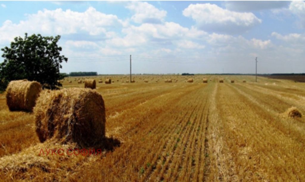 Продава ЗЕМЕДЕЛСКА ЗЕМЯ | Imot.bg — изображение 5