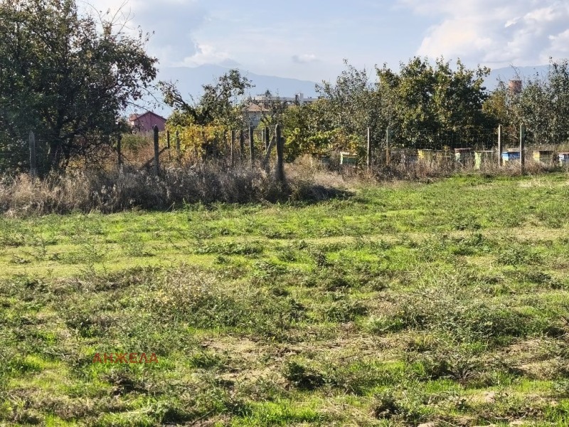 Продава  Парцел област Пазарджик , с. Драгор , 3000 кв.м | 85003779 - изображение [4]