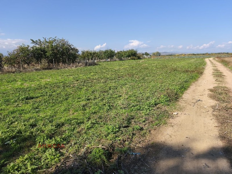 Продава  Парцел област Пазарджик , с. Драгор , 3000 кв.м | 85003779 - изображение [2]