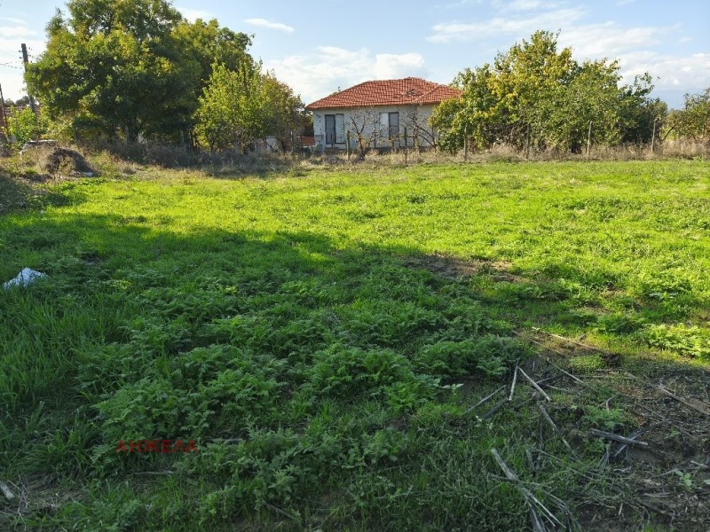 Продава  Парцел област Пазарджик , с. Драгор , 3000 кв.м | 85003779