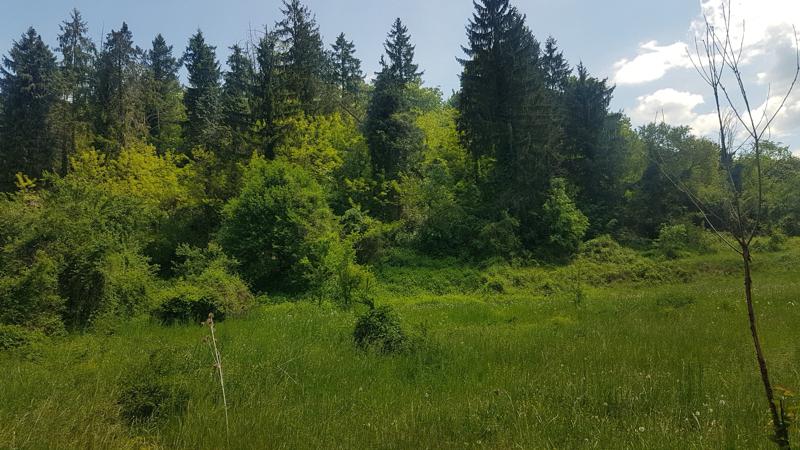 Продава КЪЩА | Imot.bg — изображение 13