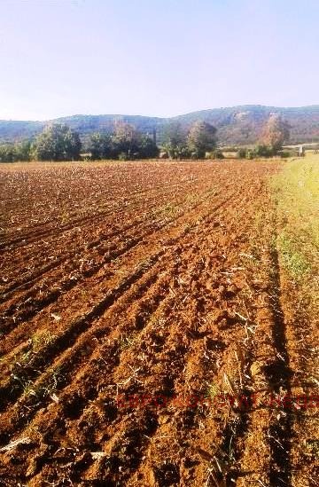 À venda  Terra região Gabrovo , Sevlievo , 11.1 tudo bem | 99378337