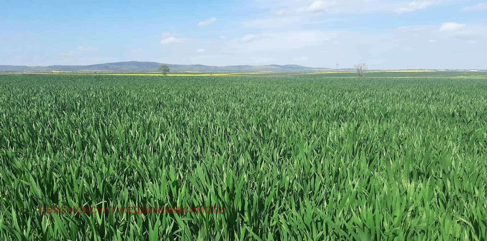 Продава ЗЕМЕДЕЛСКА ЗЕМЯ, гр. Севлиево, област Габрово, снимка 3 - Земеделска земя - 54324298