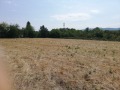 Продава КЪЩА, област Враца, с. Горно Пещене • 37000 лв. / 18917.80 € • 87238470 6