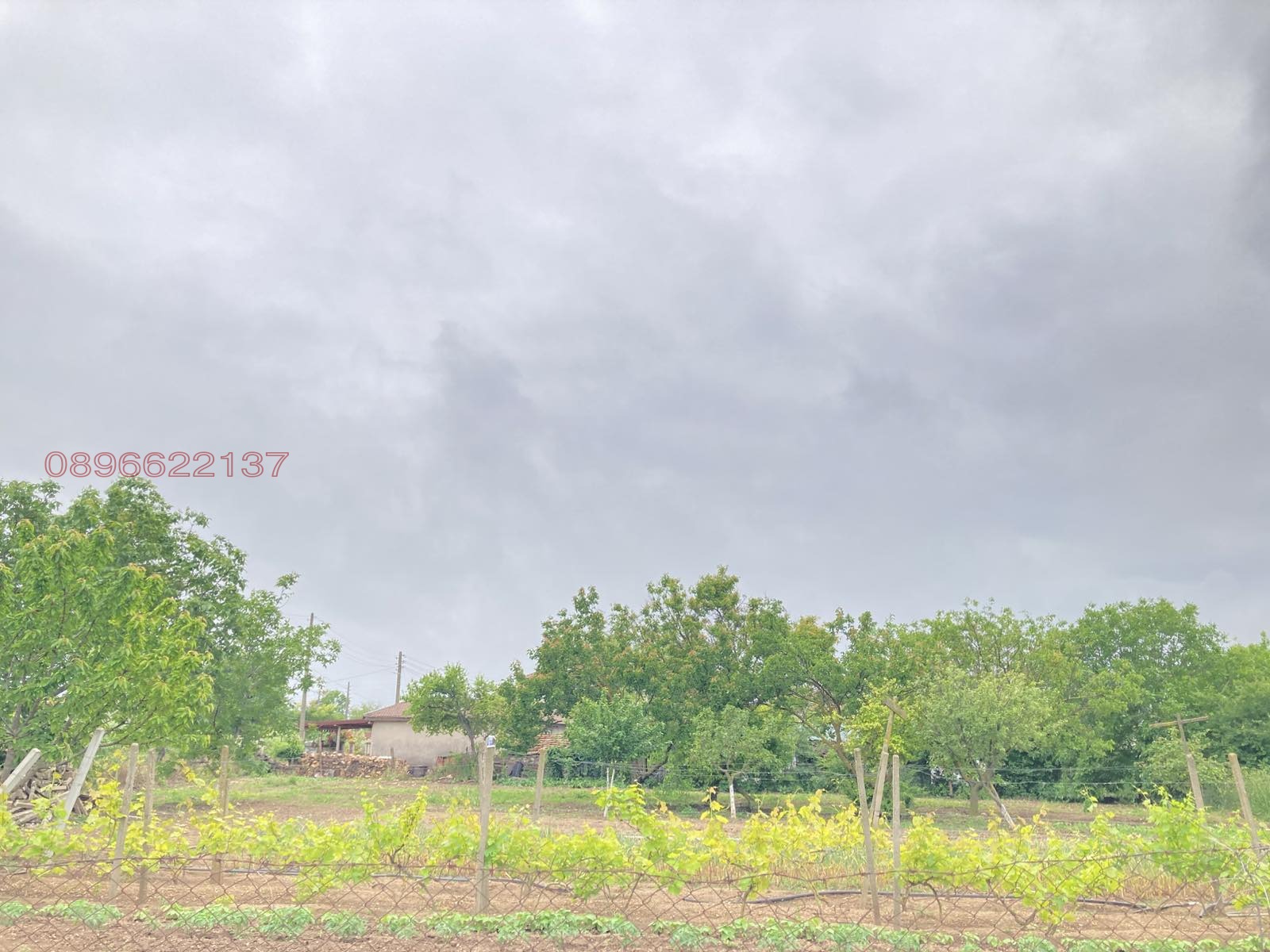 ������� ������ | Imot.bg � ����������� 1