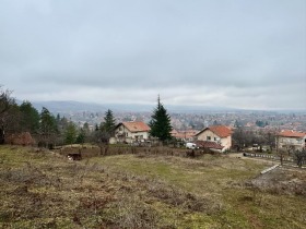 Плот Тополово, регион Пловдив