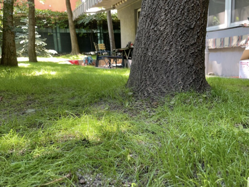 For Sale  1 bedroom Sofia , Meditsinska akademiya , 65 sq.m | 49672429 - image [8]