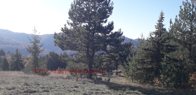 For Sale  Plot region Sofia , Lukovo , 2393 sq.m | 48278171 - image [5]