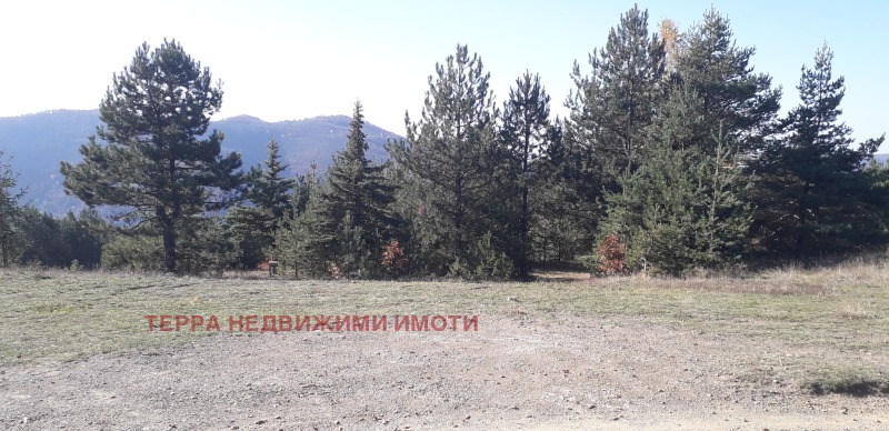 For Sale  Plot region Sofia , Lukovo , 2393 sq.m | 48278171 - image [4]