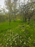 Продава ПАРЦЕЛ, с. Левски, област Варна, снимка 4