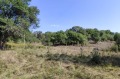 Продава ПАРЦЕЛ, с. Косача, област Перник, снимка 6