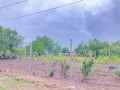 Продава  Парцел област Добрич , гр. Шабла , 1760 кв.м | 13339217 - изображение [2]