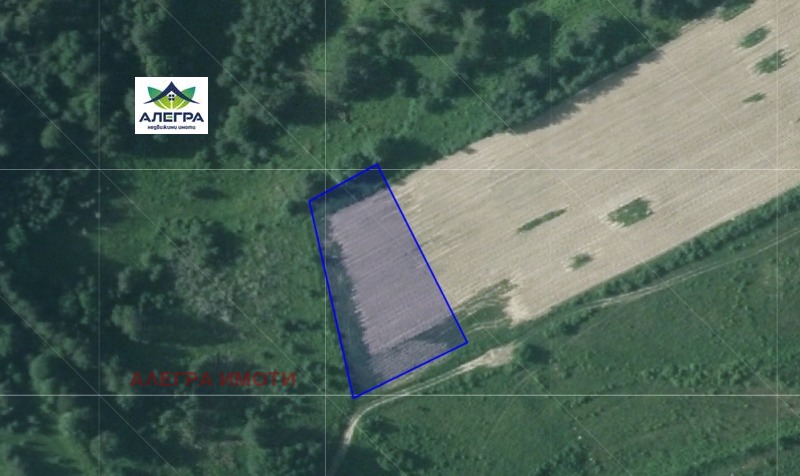 Продава ЗЕМЕДЕЛСКА ЗЕМЯ в област Пазарджик, гр. Батак - 2.31 дка / 17 716.26 € » 34 650 лв., АЛЕГРА ИМОТИ
