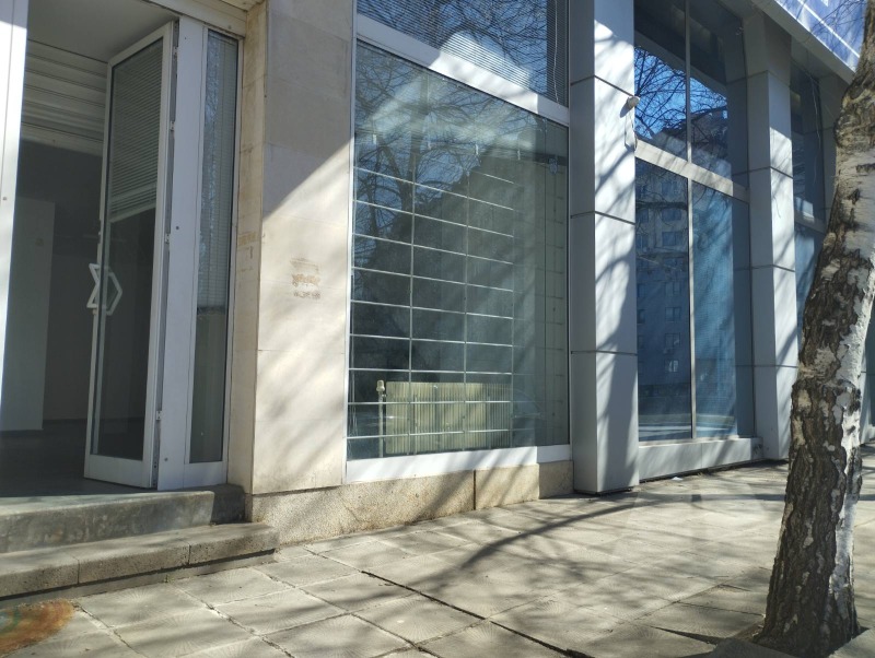 Te koop  Winkel Sofia , Tsentar , 230 m² | 48581221 - afbeelding [8]
