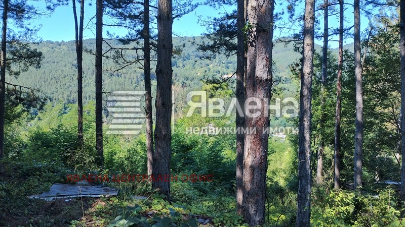 Продава ПАРЦЕЛ, с. Владо Тричков, област София област, снимка 8 - Парцели - 53502852