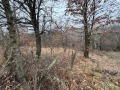 Продава ПАРЦЕЛ, с. Драгичево, област Перник, снимка 2