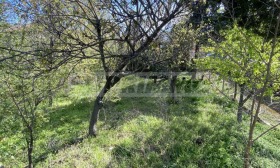 ������� ���� | Imot.bg � ����� ������ 12