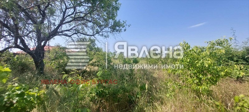 Zu verkaufen  Handlung region Burgas , Kableschkowo , 1487 qm | 20601610 - Bild [2]