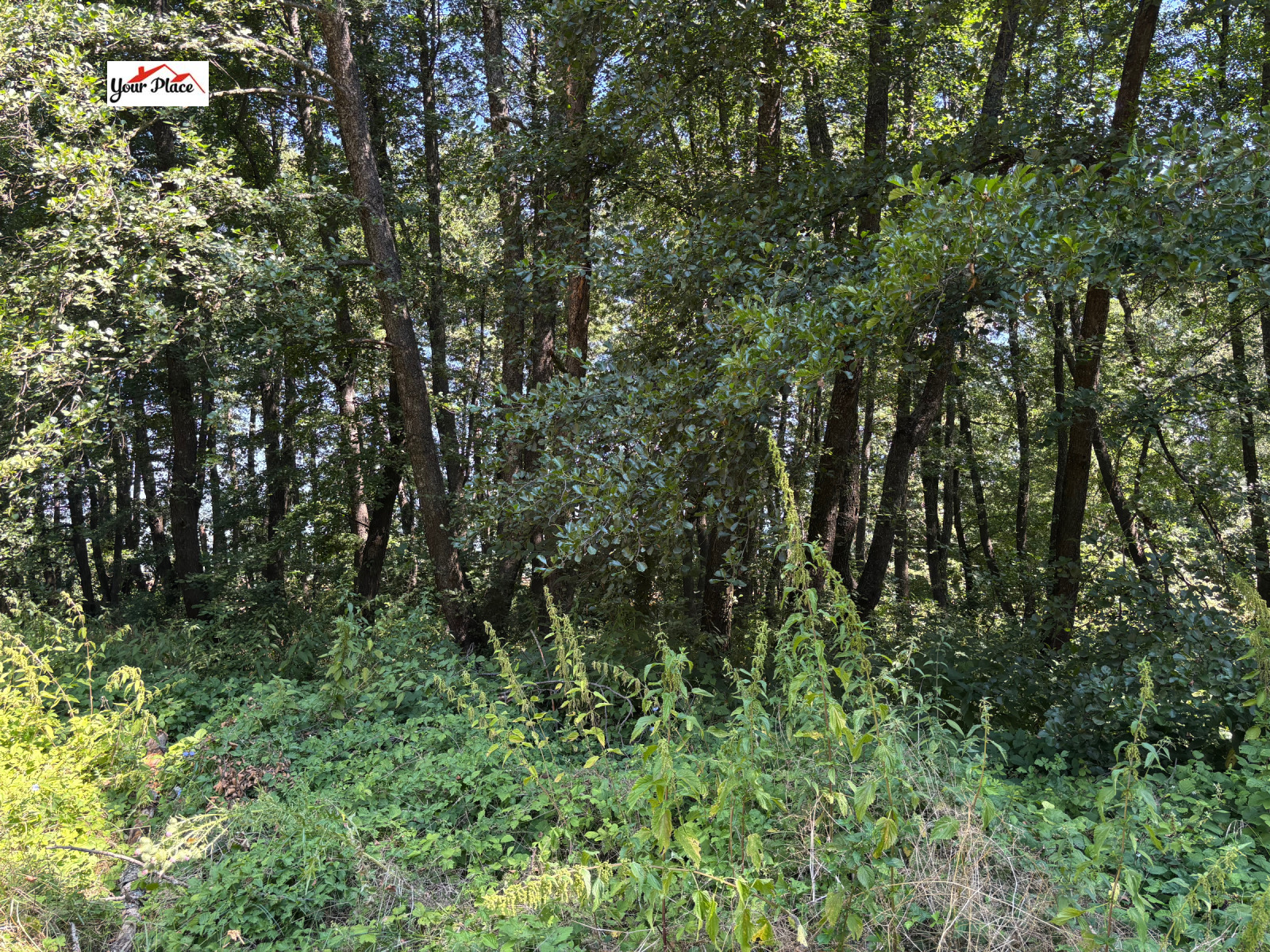 Продава САМОСТОЯТЕЛНА СГРАДА | Imot.bg — изображение 16