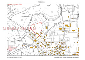 ����� ������� ������,�. �����, ������ ����� ������