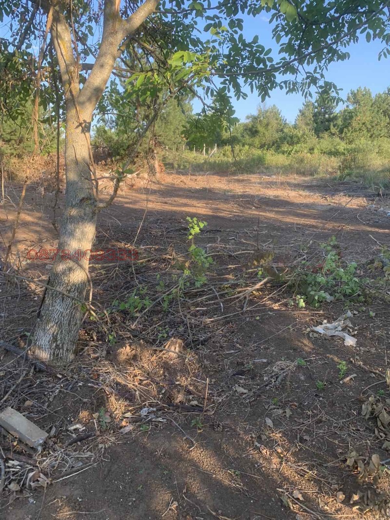 Продава  Парцел град Плевен , м-т Мъртва долина , 850 кв.м | 70786065 - изображение [2]