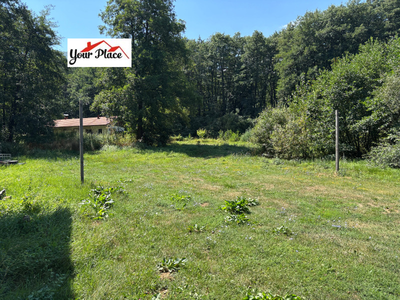 Продава БИЗНЕС ИМОТ, с. Гърляно, област Кюстендил, снимка 3 - Други - 52015904