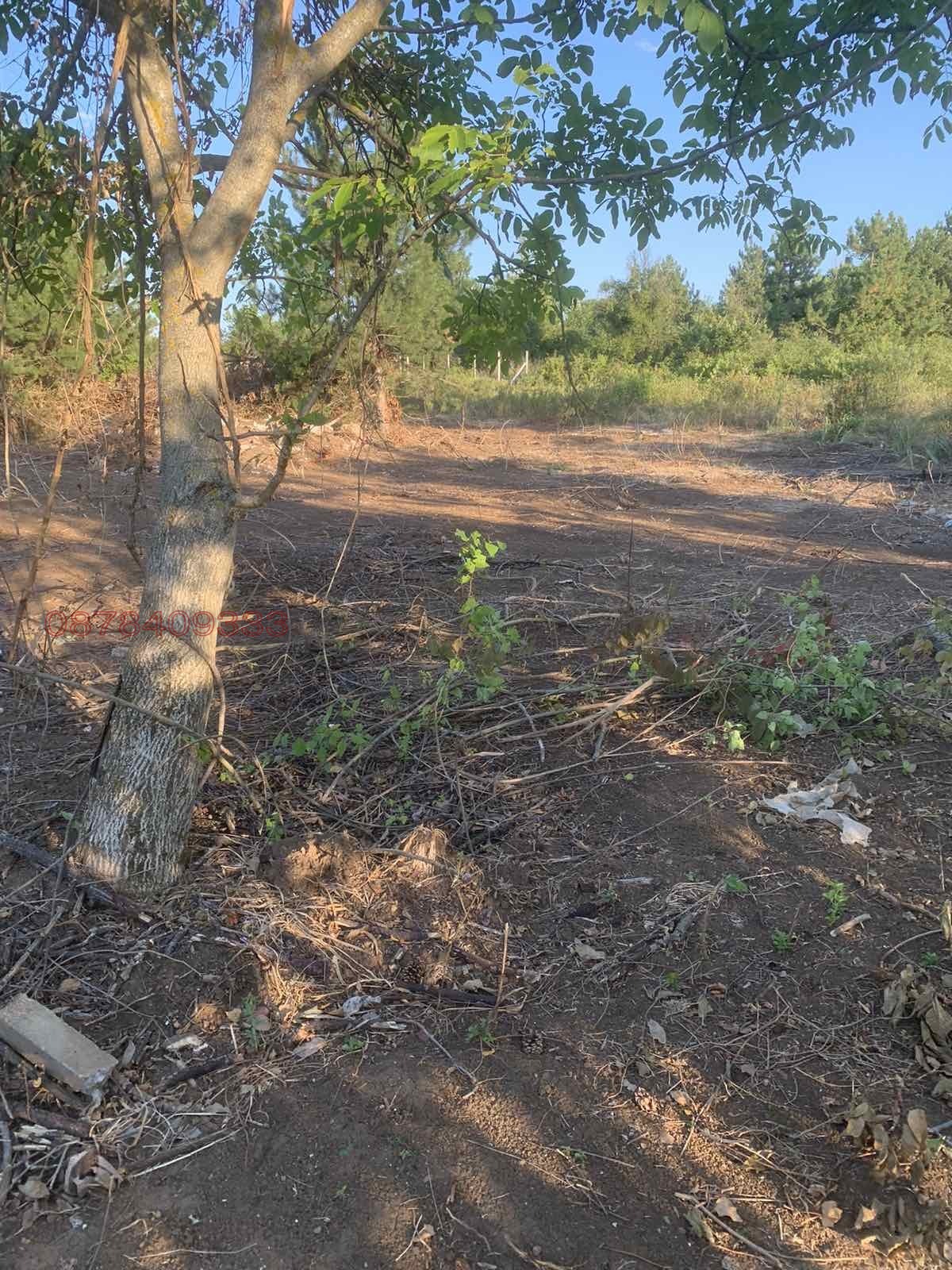 Продава ПАРЦЕЛ, гр. Плевен, м-т Мъртва долина, снимка 2 - Парцели - 54177031