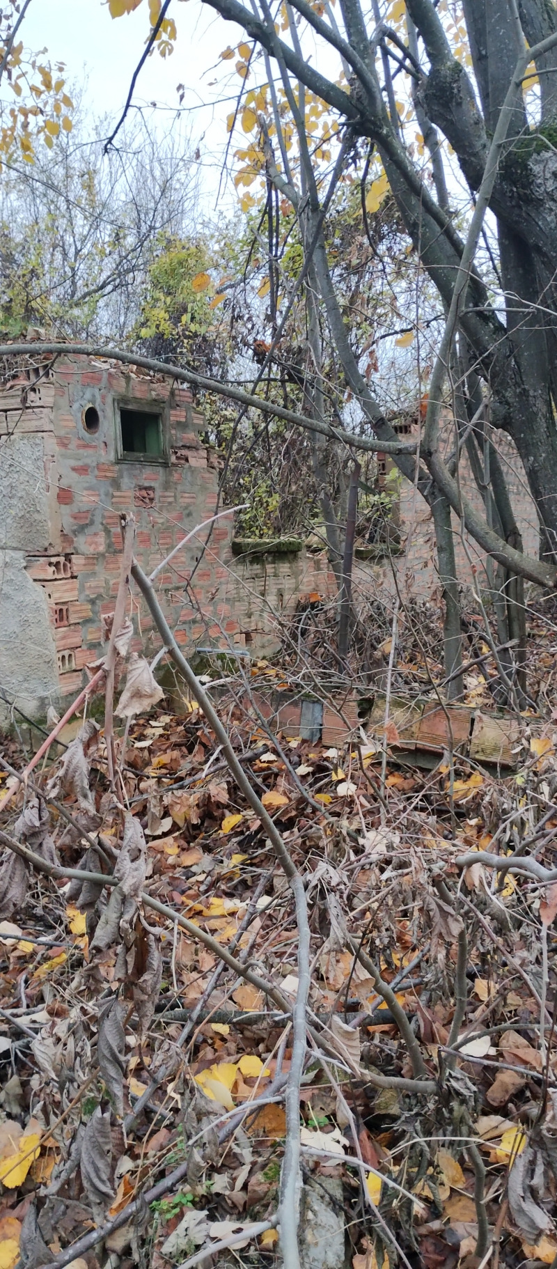 Продава ПАРЦЕЛ в област Велико Търново, с. Сушица - 2400 кв.м / 3 300 € » 6 454.24 лв., ЯНА ИНВЕСТ ЕООД