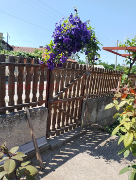 Hus Kozlodujtsi, region Dobrich