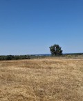Продава ПАРЦЕЛ, гр. Ахтопол, област Бургас, снимка 1