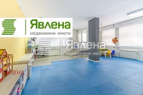 ����� ������� �������,���� �����, ������