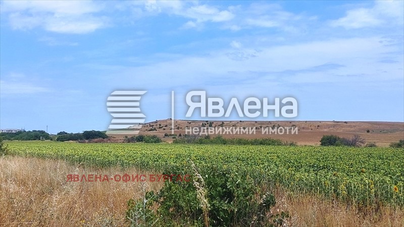 Продава  Парцел област Бургас , гр. Поморие , 5000 кв.м | 73234529 - изображение [3]