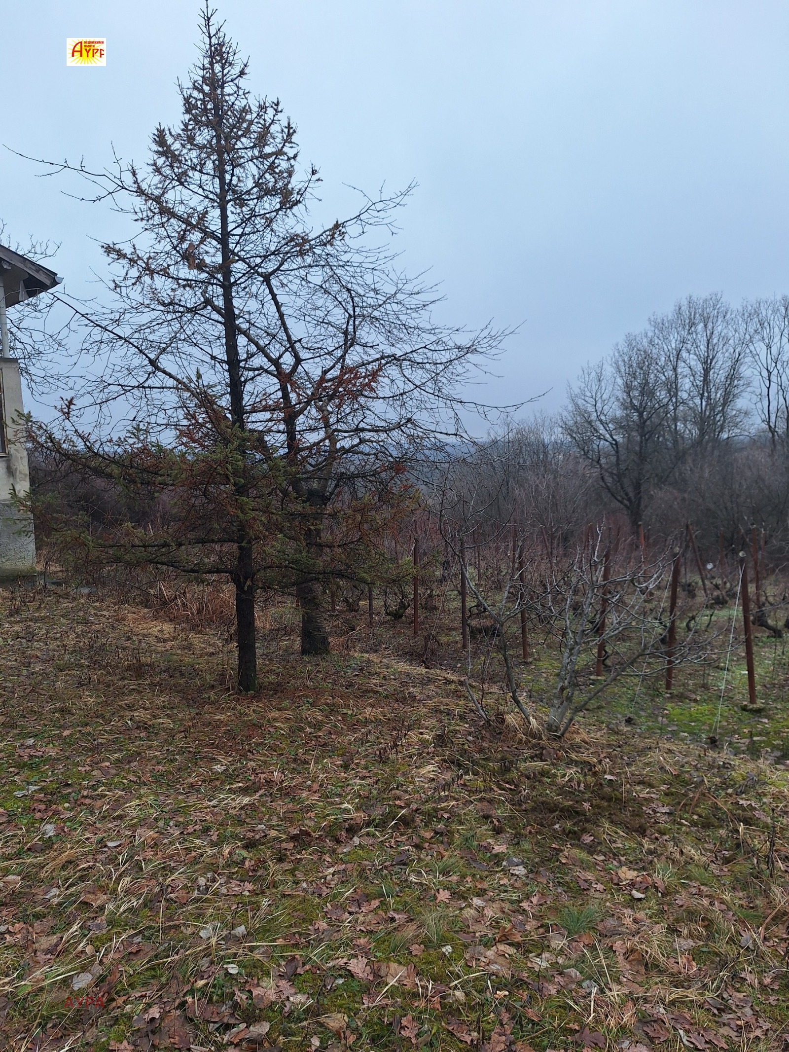 ������� ���� | Imot.bg � ����������� 12