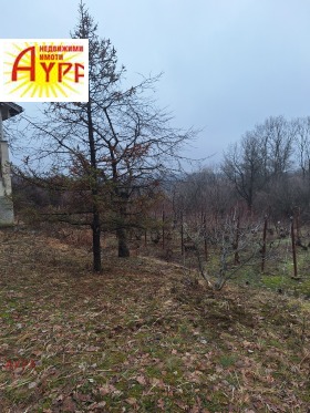 ������� ���� | Imot.bg � ����� ������ 12