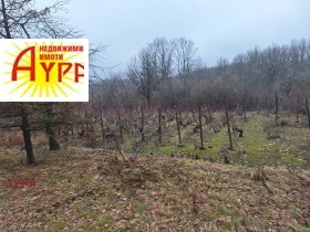 ������� ���� | Imot.bg � ����� ������ 11