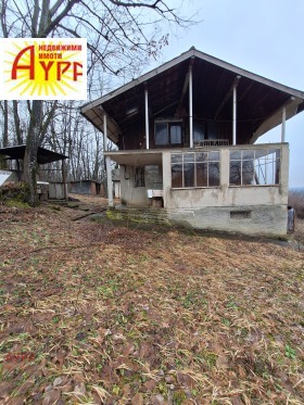 ����� ������� ����,���� �����, ���������� ����