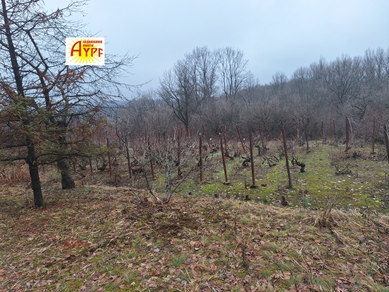 Продава КЪЩА, гр. Враца, Студентски град, снимка 10 - Къщи - 50440131