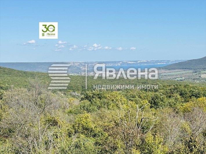 Продава КЪЩА, с. Осеново, област Варна, снимка 5 - Къщи - 48986999