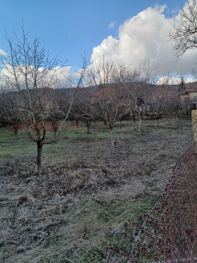 ������� ������ | Imot.bg � ����� ������ 5