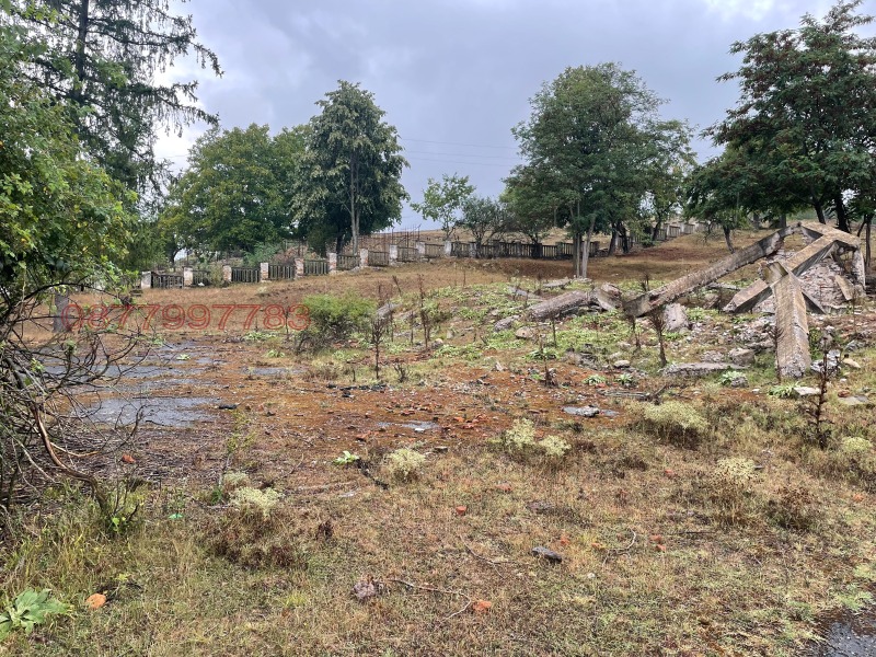 Eladó  Cselekmény régió Burgasz , Malko Tarnovo , 8845 négyzetméter | 76742369 - kép [3]