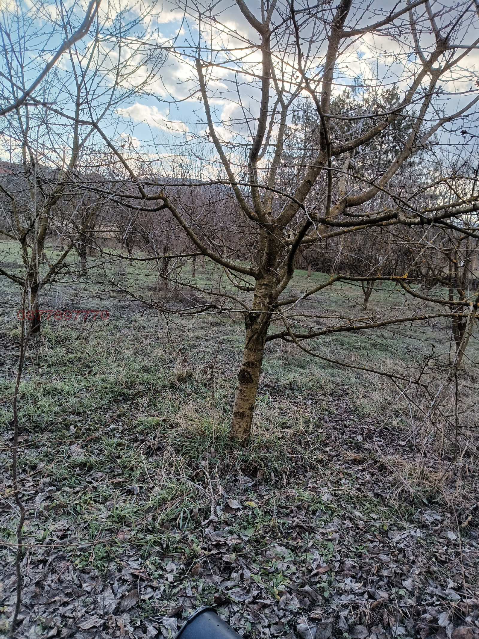 Продава ПАРЦЕЛ, с. Хлевене, област Ловеч, снимка 8 - Парцели - 53629162