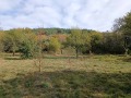 Продава ПАРЦЕЛ, с. Горни Романци, област Перник, снимка 1