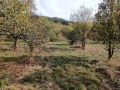 Продава ПАРЦЕЛ, с. Горни Романци, област Перник, снимка 2